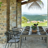 Silla con Brazos Darwin