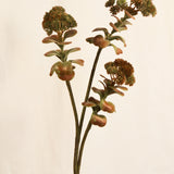 Flores Succulent Green 66CM