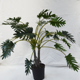Flores Philodendron Green 104CM