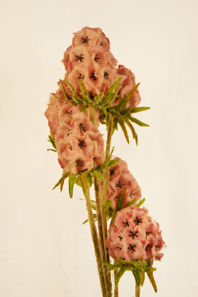 Flores Scabiosa Pink 80 cm