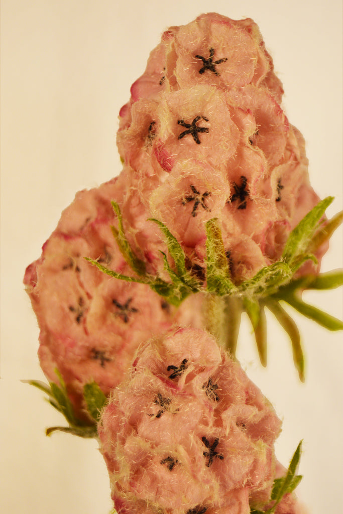 Flores Scabiosa Pink 80 cm