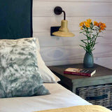 Respaldo Funda Pestaña