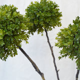 Flores Buxus Green 108CM