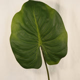 Flores Alocasia green 85CM