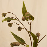 Flores Eucalyptus grey 71CM