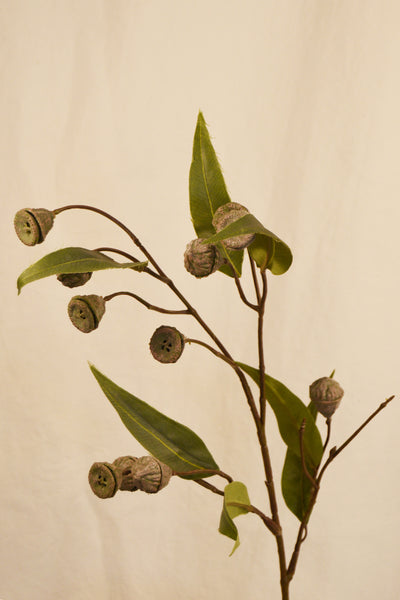 FLORES EUCALYPTUS GREY 71CM