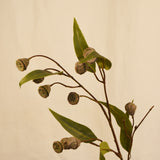 Flores Eucalyptus grey 71CM