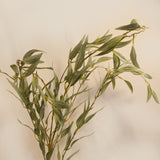 Flores Eucalyptus green 123CM