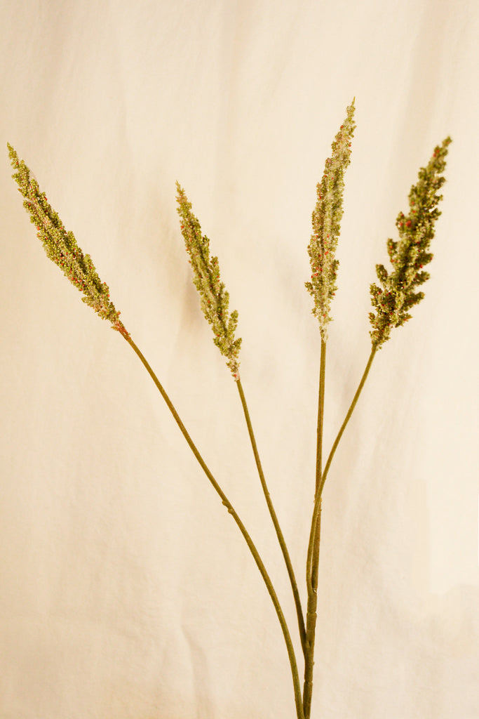 FLORES GRASS PLUME GRN DK 82CM