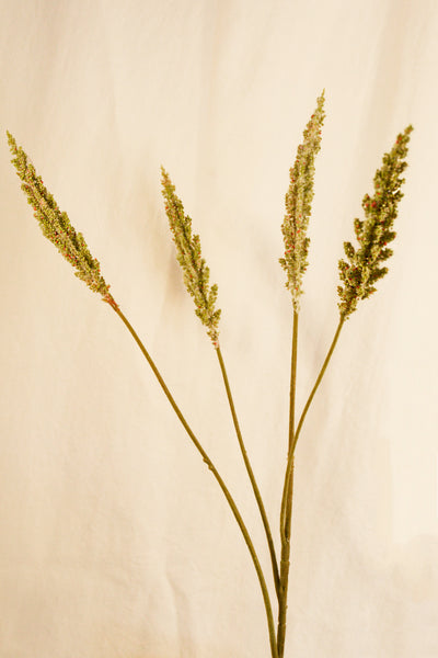 FLORES GRASS PLUME GRN DK 82CM