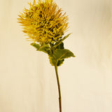 Flores Protea Stem YELLOW 56 cm