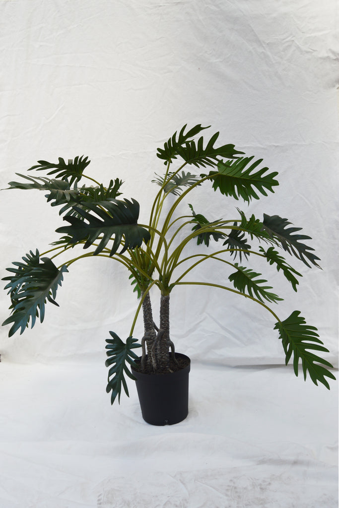 FLORES  PHILODENDRON GREEN 104CM