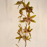 Flores Orchid Oncidium BRN/GRN 109CM