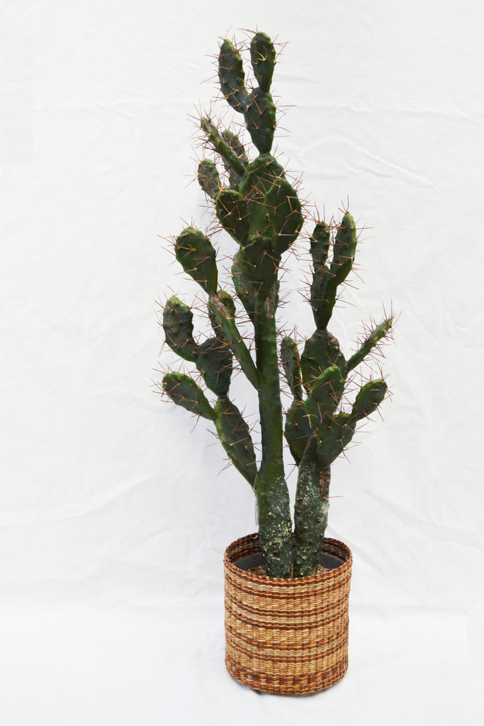 FLORES CACTUS GREEN 102CM