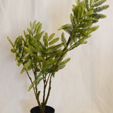 Flores Leaf green 73CM
