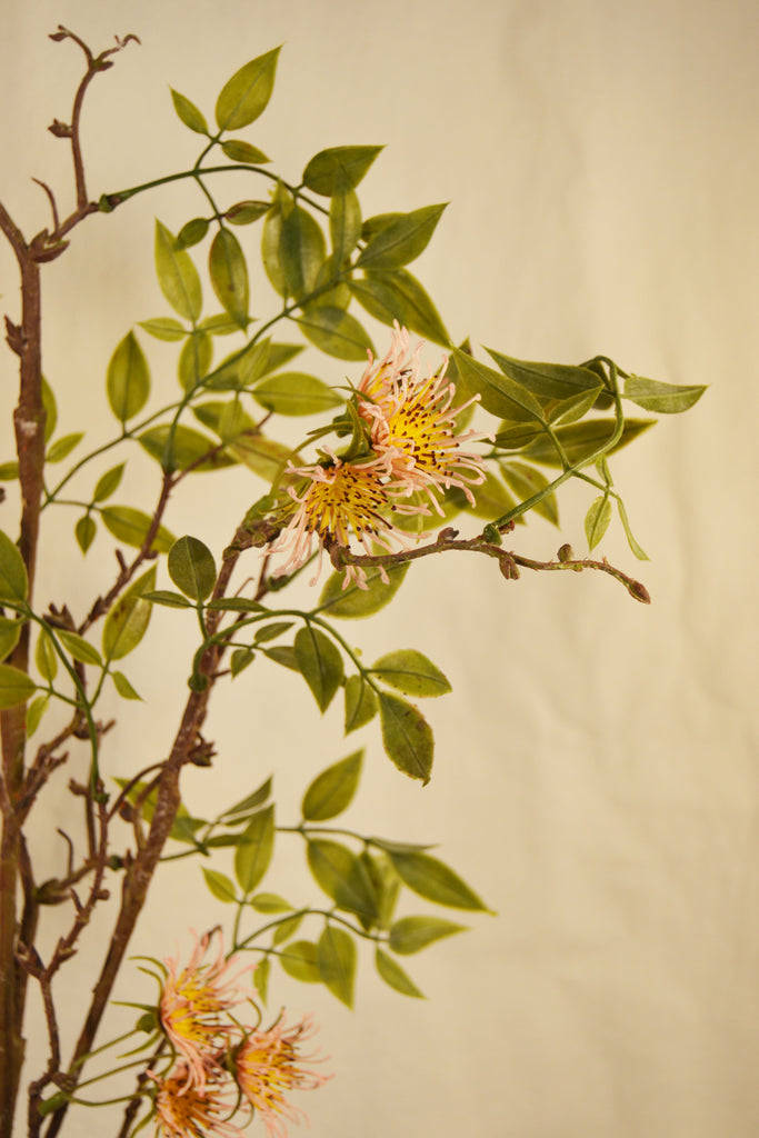 Flores Clematis Pink 109 cm