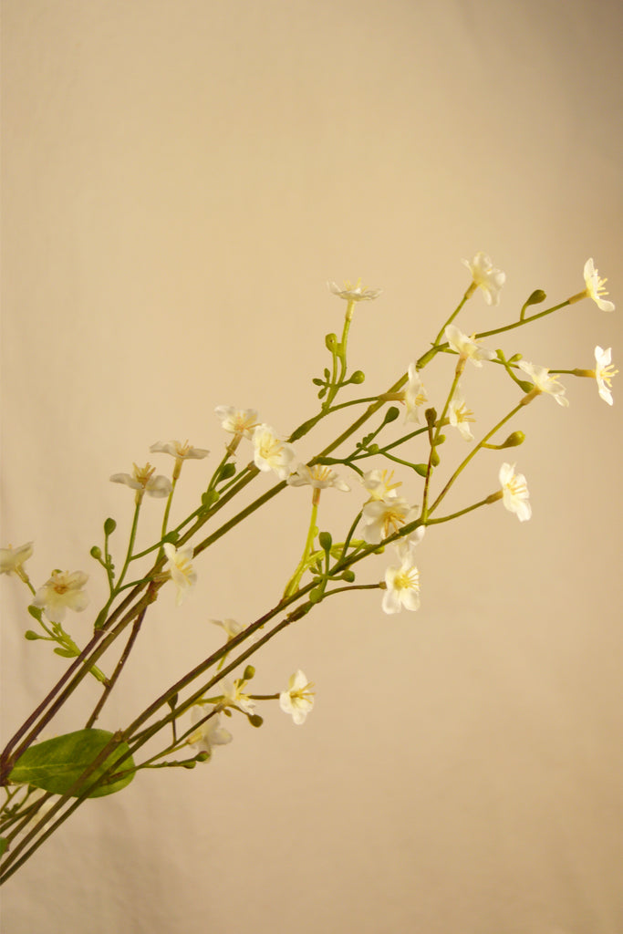 Flores Gypsophila white 115 cm