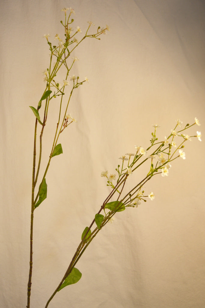 Flores Gypsophila white 115 cm