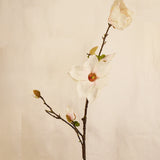 Flores Magnolia pink 91 CM