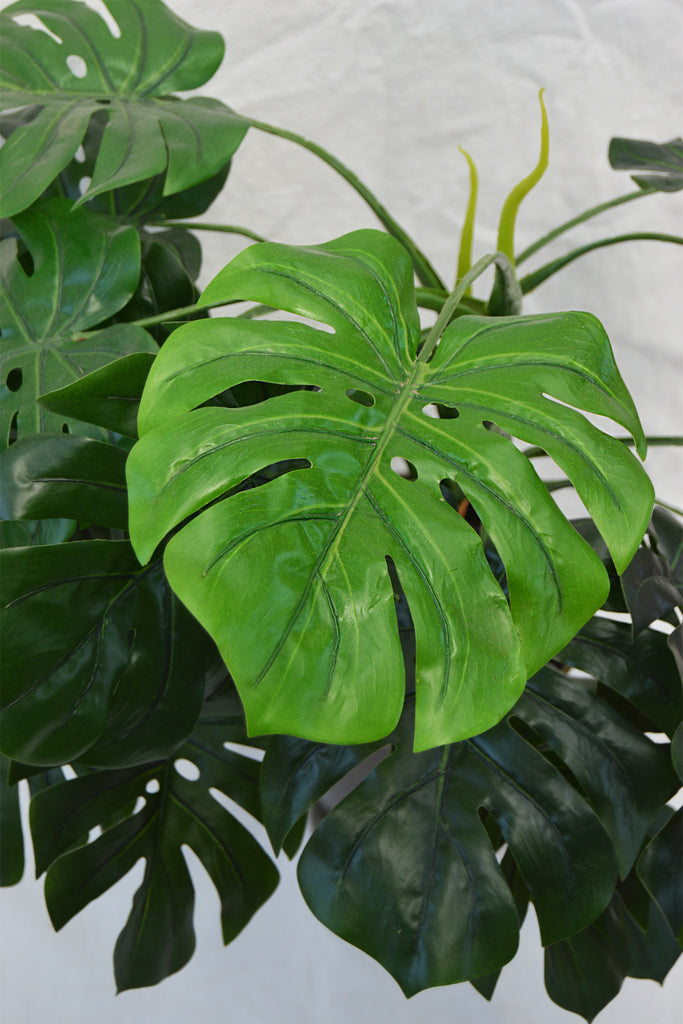 FLORES MONSTERA VASE GREEN