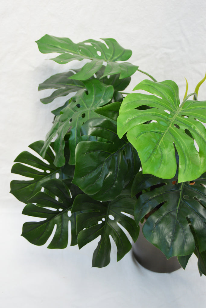 FLORES MONSTERA VASE GREEN