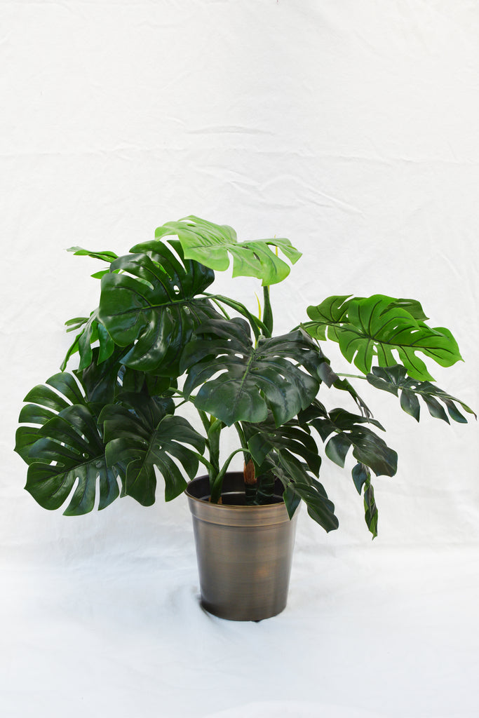 FLORES MONSTERA VASE GREEN